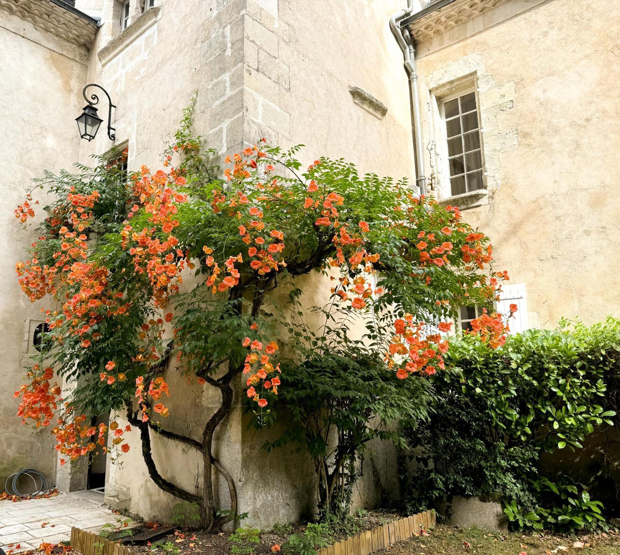 Domaine Labattut Saint-Astier (Dordogne) Exterior foto