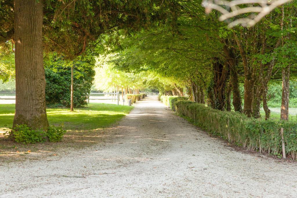 Domaine Labattut Saint-Astier (Dordogne) Exterior foto